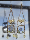 No Me Olvides - Forget-Me-Not Framed Botanical Earrings